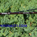 Спиннинг Norstream Troutist-X